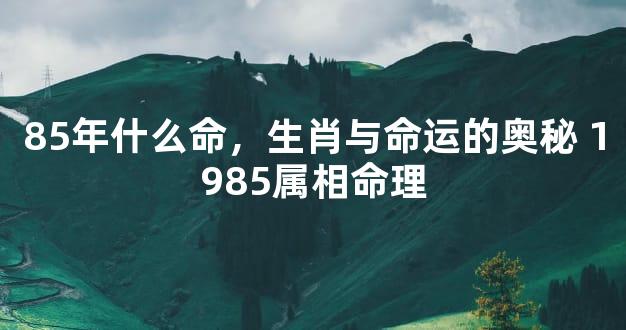 85年什么命，生肖与命运的奥秘 1985属相命理